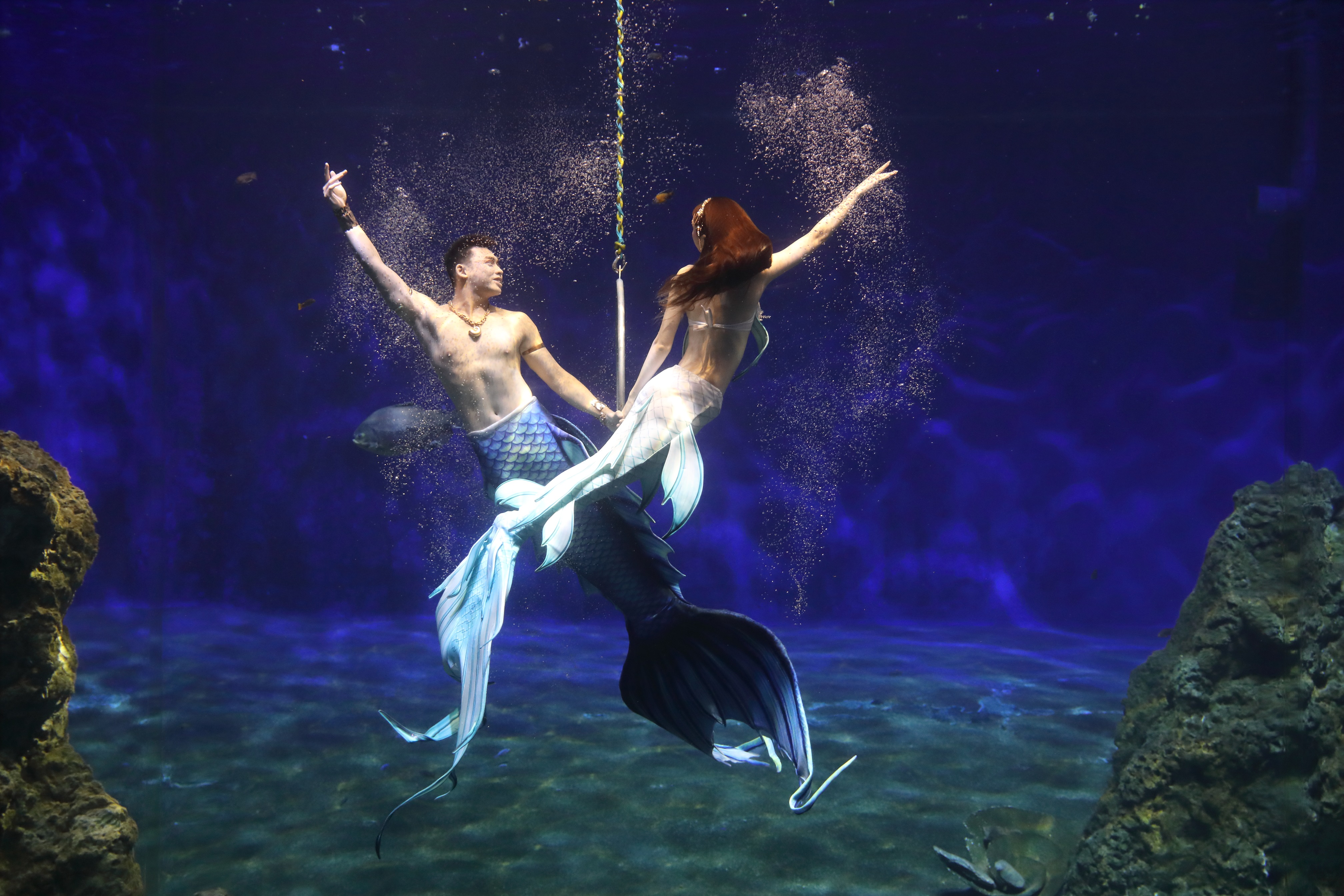 亞洲六國美人魚盛事倒數登場　5/24齊聚遠雄海洋公園競藝