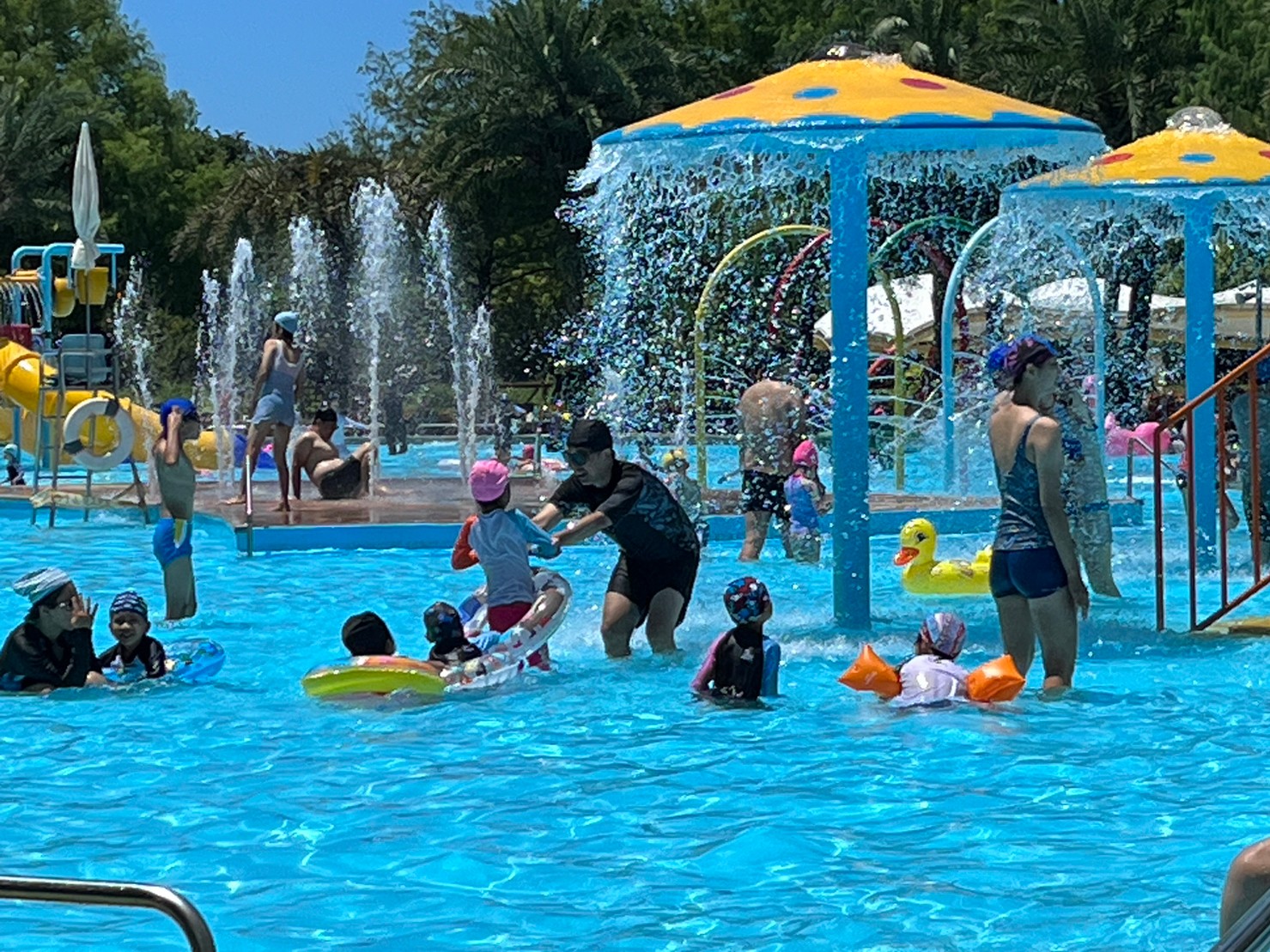 2025花蓮知卡宣綠森林親水公園12日開幕   從早玩到晚沁涼一夏