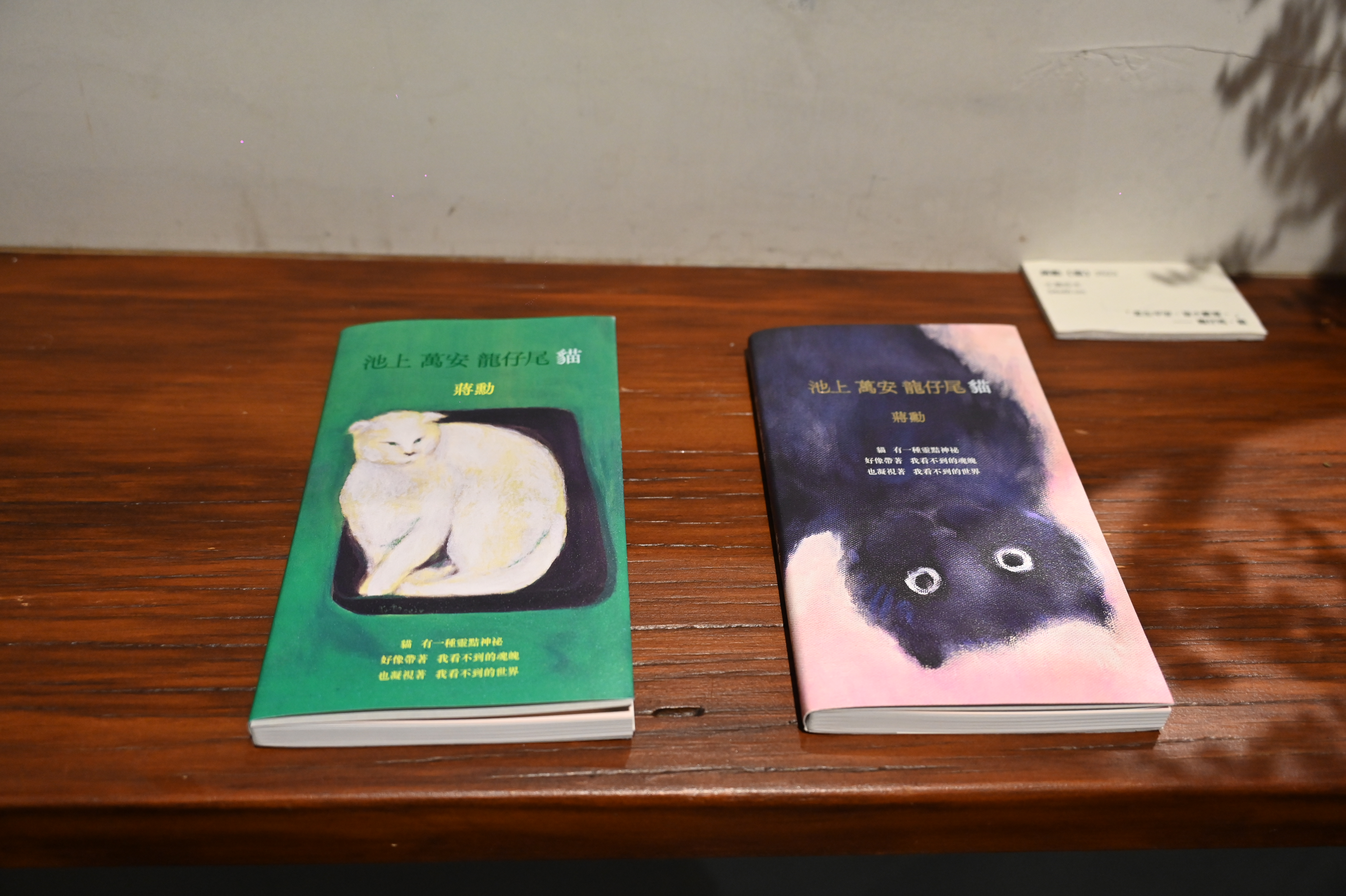 蔣勳新書發表會   文化底蘊與自然的對話