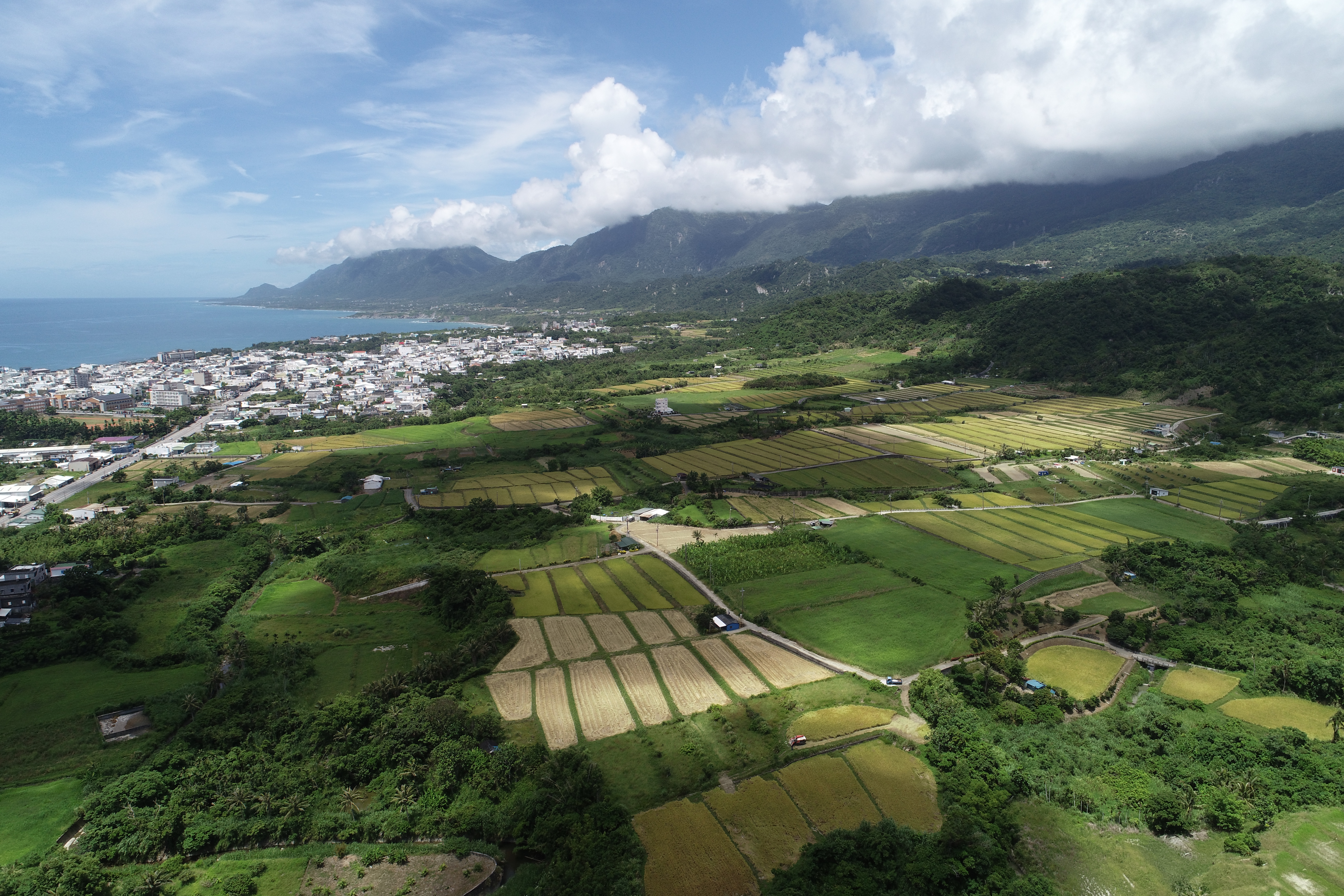 二期稻作收割期將至    臺東縣環保局呼籲勿露天燃燒稻草