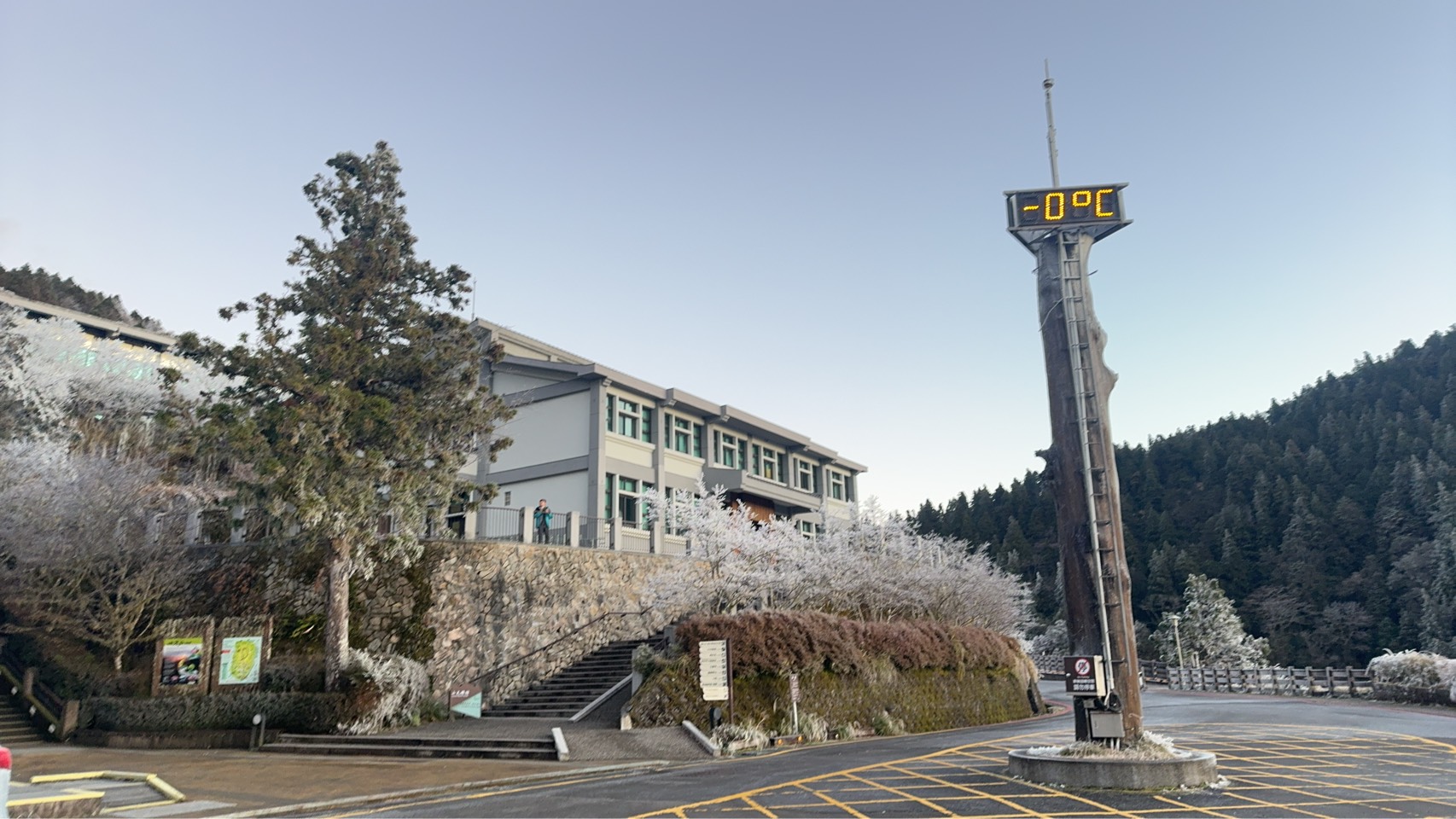 冷氣團發威　太平山清晨降至0°C霧淞宛如仙境