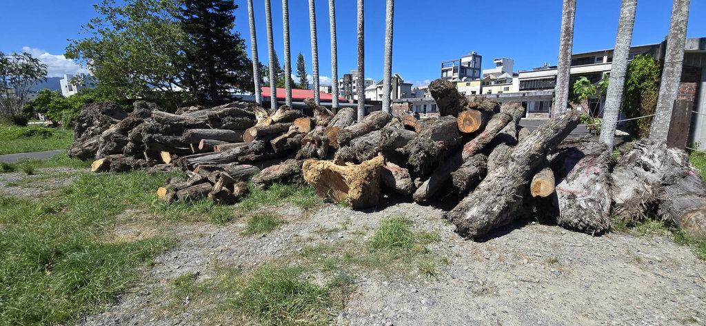 山老鼠集團假種西瓜侵占國有林　宜檢起訴18人