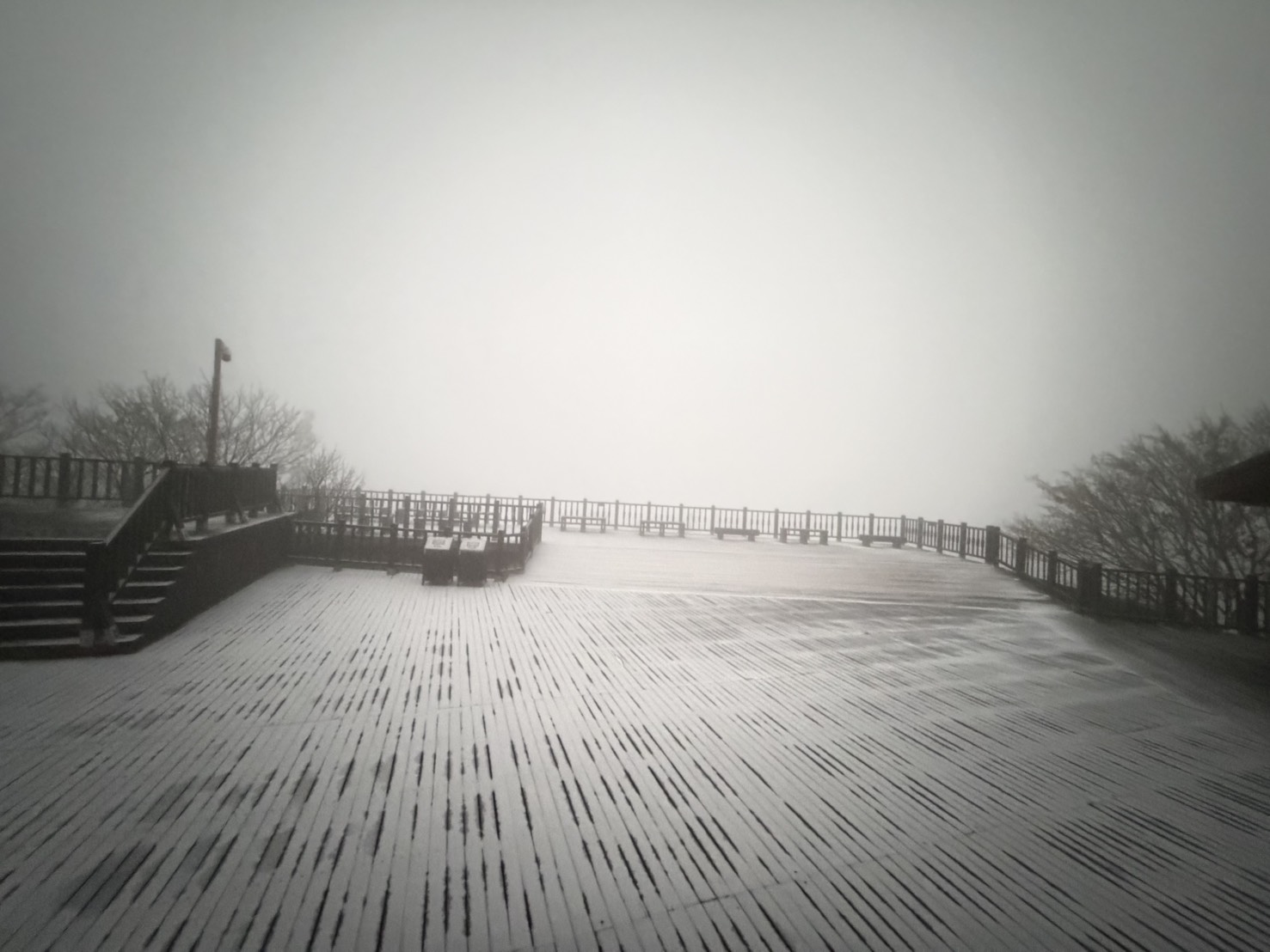 冷氣團發威太平山零下2度　霧淞銀白世界遊客嗨翻