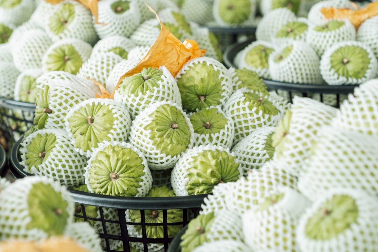 臺東深耕星國3年見效    鳳梨釋迦銷售突破1.6萬公斤