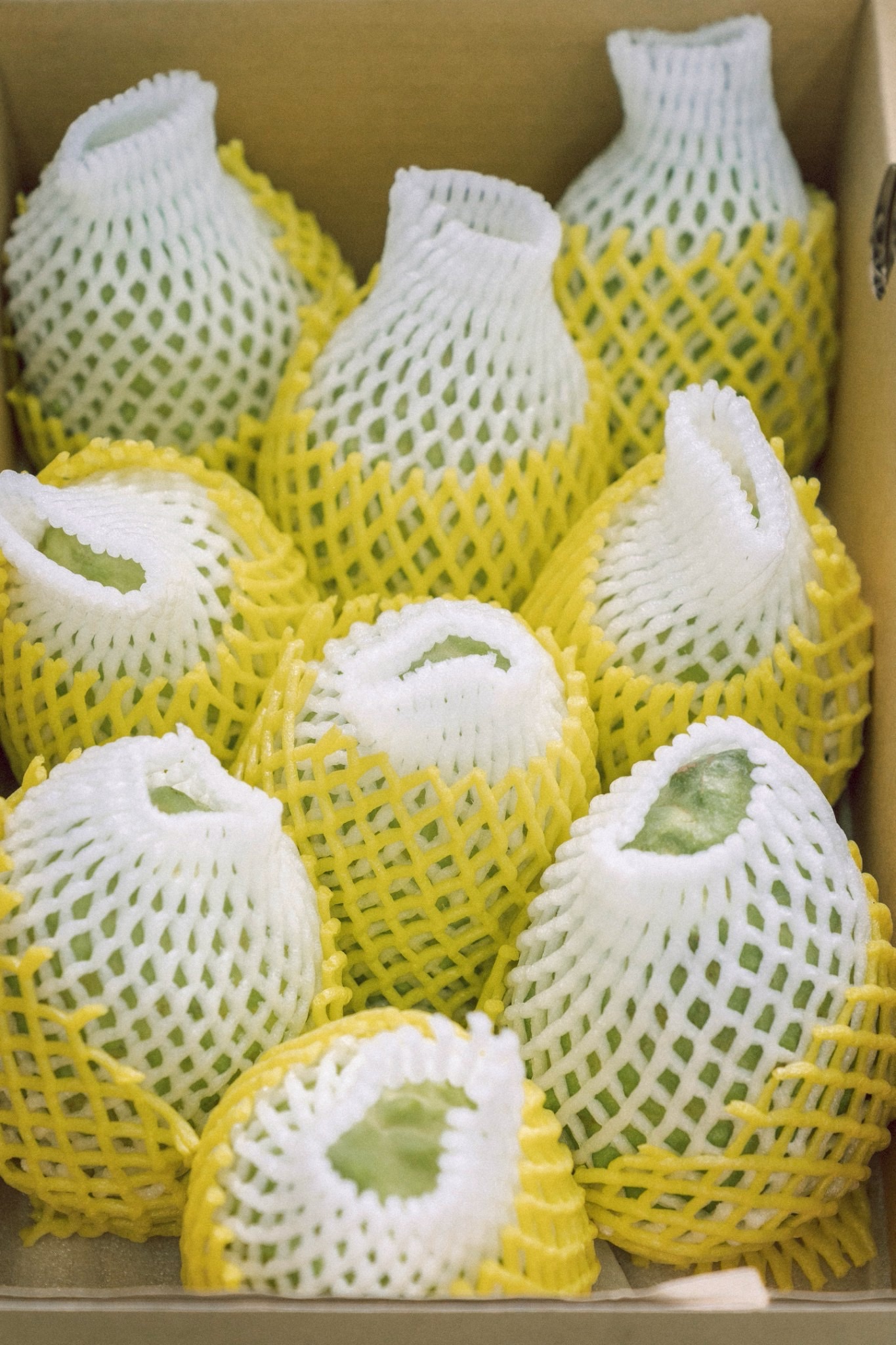 挺臺東鳳梨釋迦 彰化縣政府訂購130箱助農 挺臺東鳳梨釋迦 彰化縣政府訂購130箱助農