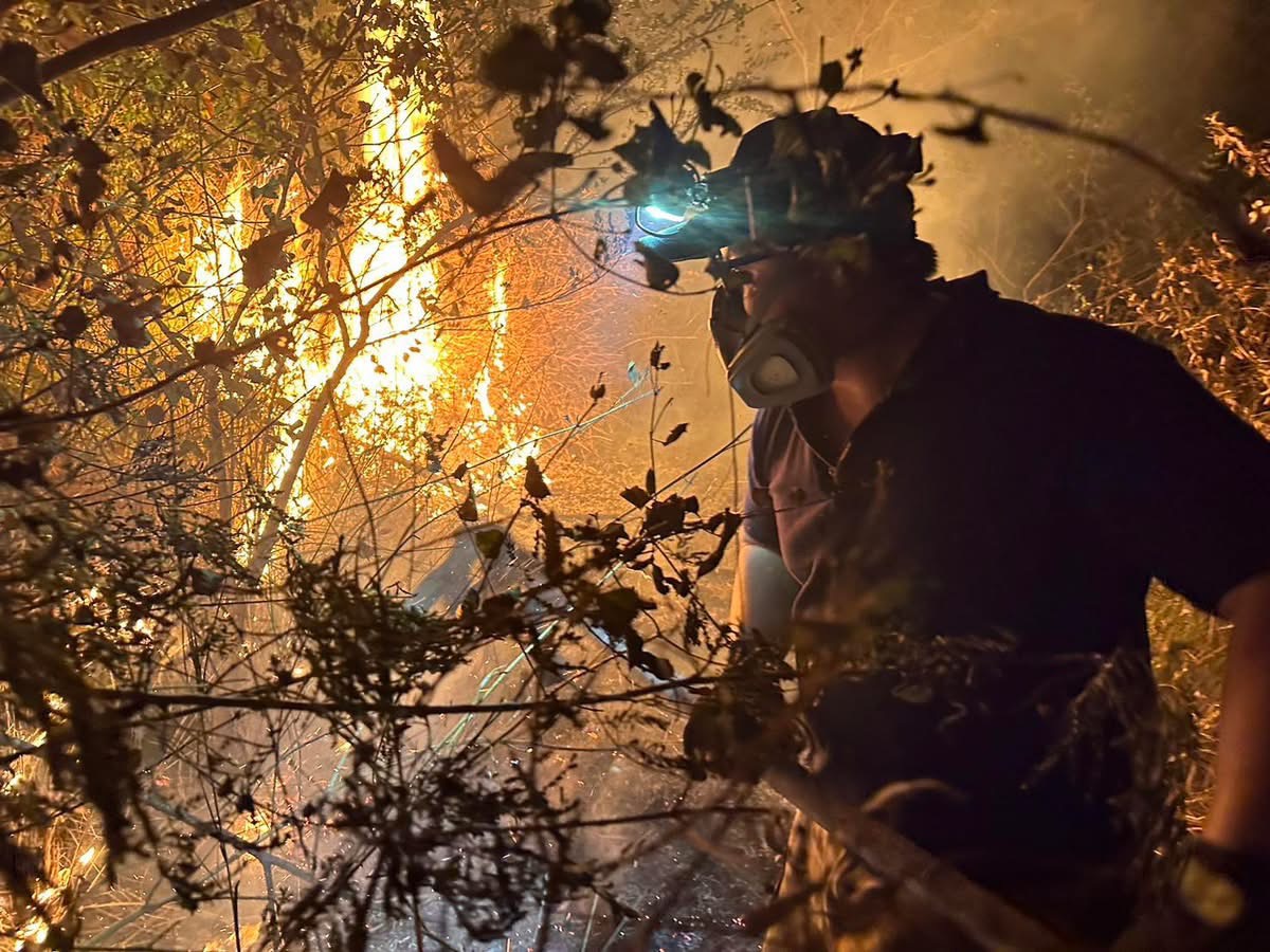 臺東知本濕地捷地爾火警 消防局結合科技與陸空聯合 26小時成功滅火 臺東知本濕地捷地爾火警 消防局結合科技與陸空聯合 26小時成功滅火