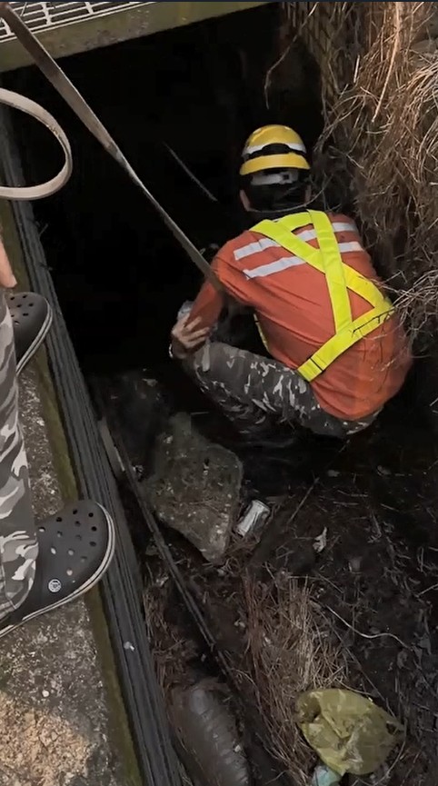 婦人倒回收墜落路邊深溝　宜蘭市清潔隊員「聞聲辨位」即刻救援