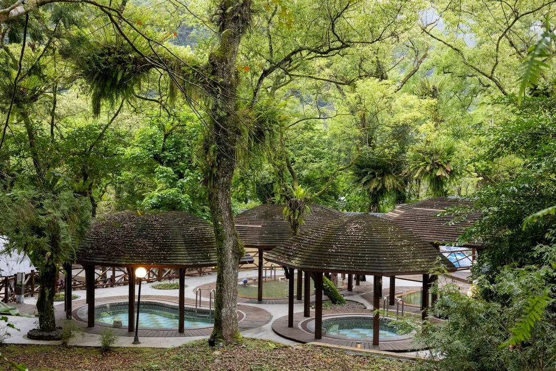 蝴蝶谷盛大開幕! 天成飯店集團X林保署打造全台首座民營森林旅宿