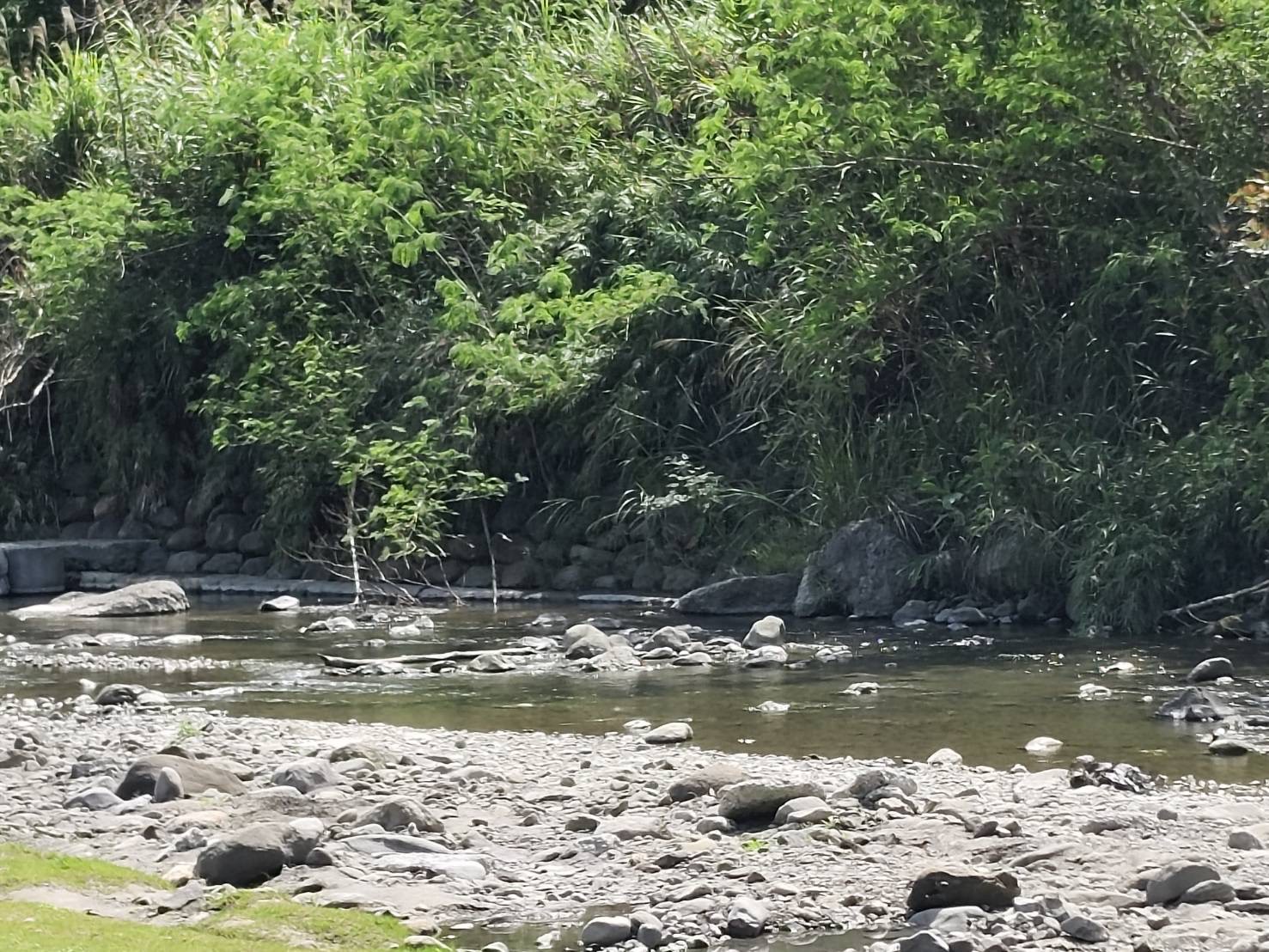 玉里「安通濯暖」4 月 1 日斷電回歸自然   公所辦市集重現經典風華