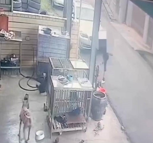 「叫妳尪出來啦」宜蘭警搞烏龍　分局長登門致歉、阿公暖心助攻