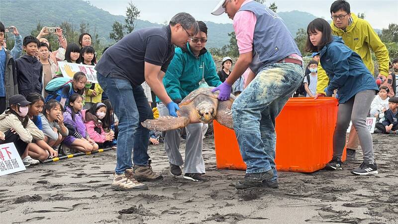 碳吉龜1號傷癒帶著人類祝福　重返大海展開生命新旅程