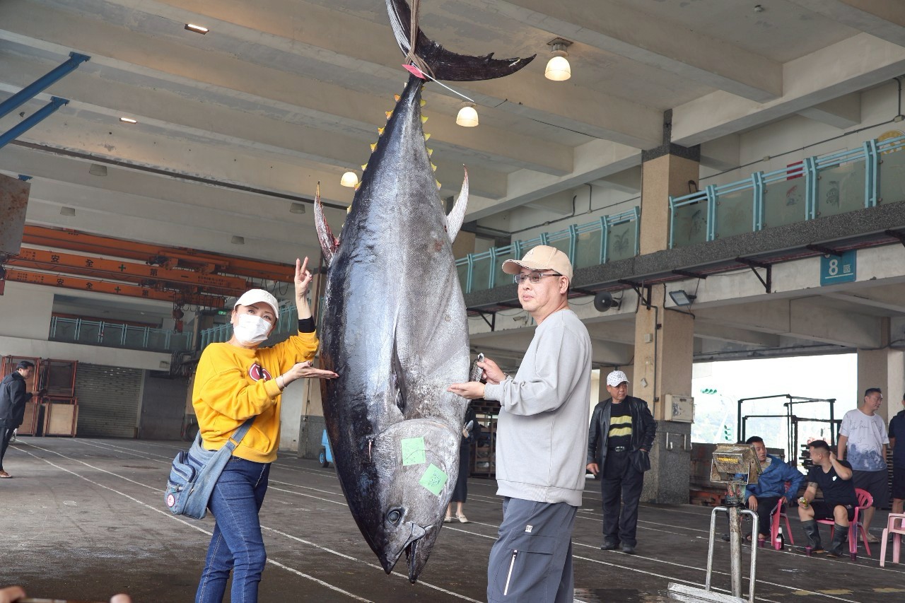 蘇澳第一鮪現身　全昌隆168號漁船再度捕獲250公斤活黑鮪