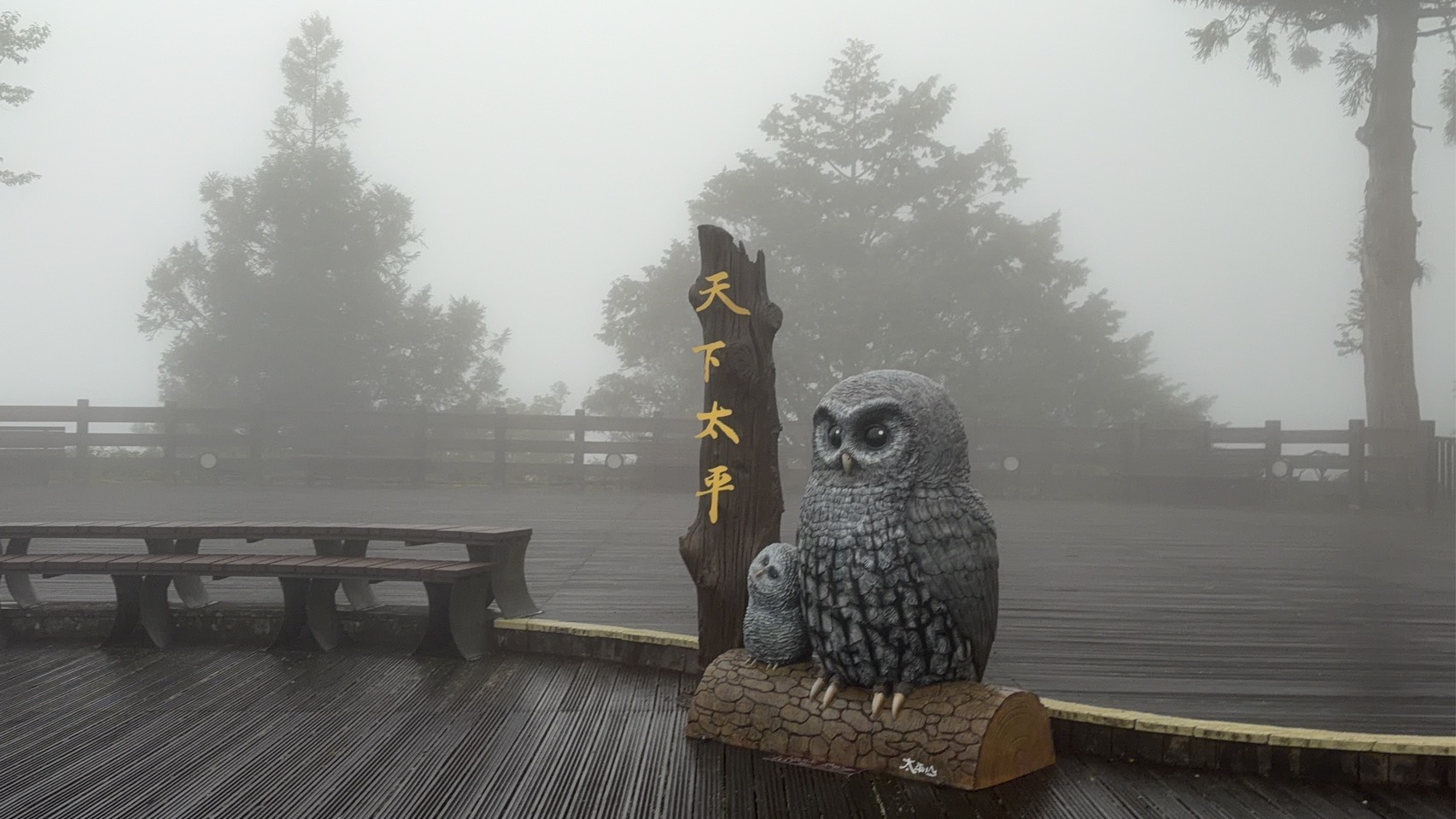 太平山51起恢復全區開園