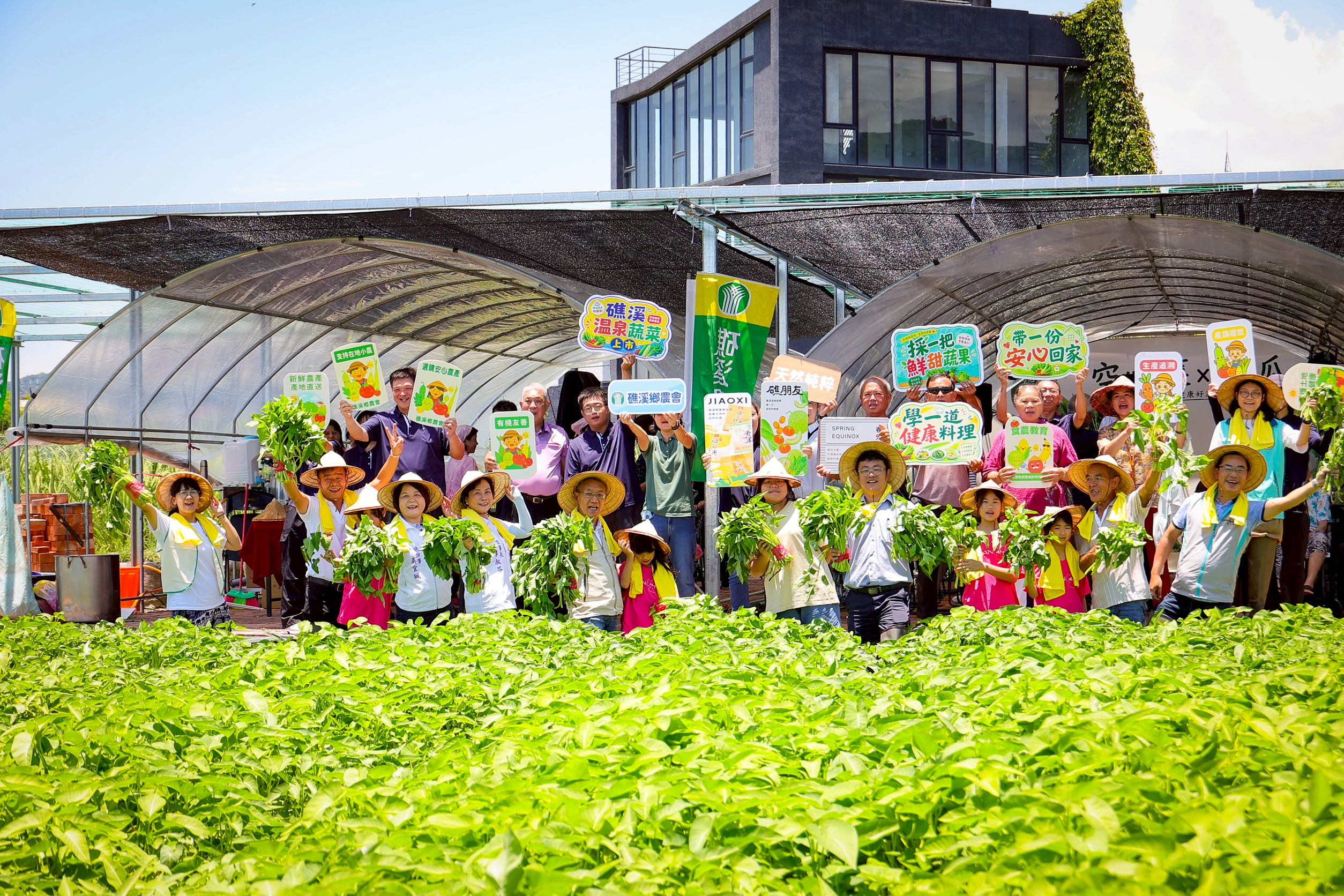 礁溪溫泉蔬菜上市　溫泉絲瓜、空心菜新鮮登場