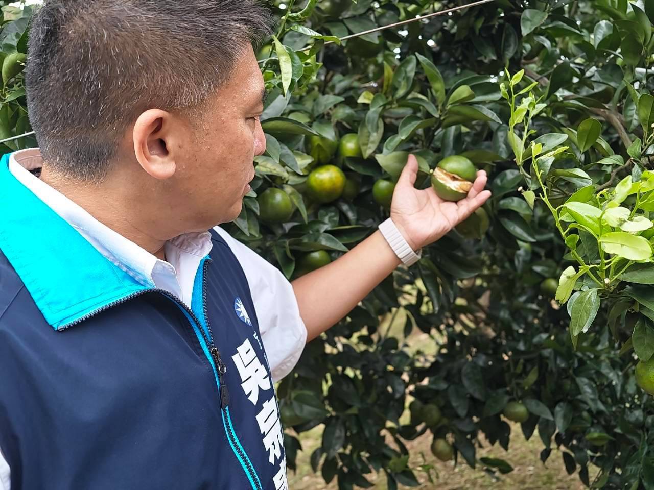 薔琵重創宜蘭農業　吳宗憲承諾立院質詢、協調雙管齊下，全力為農友爭取災損補償